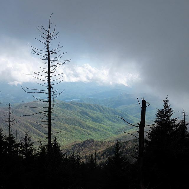 venture4wd's tweet photo. 5/5/19 - The hike up to Clingmans Dome in Great Smoky Mountains National Park. An ominous cloud passed overhead, creating a natural vignette around sun-drenched valley below. #optoutside #hike #hiking #wherelumixgoes #lumixgh5 #wanderlust #neverstopexplo… https://t.co/dbd9RMXjPq https://t.co/qEMwLpi6LR