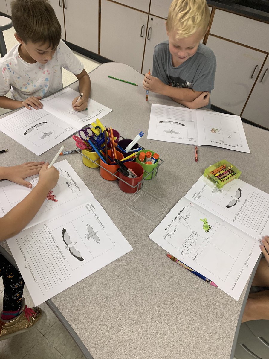 MrsRaggsRockers's tweet photo. These awesome first graders did a great job learning about and choosing their favorite adaptations. #ScientistsAtWork #TaraO @gmossluvs2teach @TaraOaks_ES https://t.co/H0SzbQKetG
