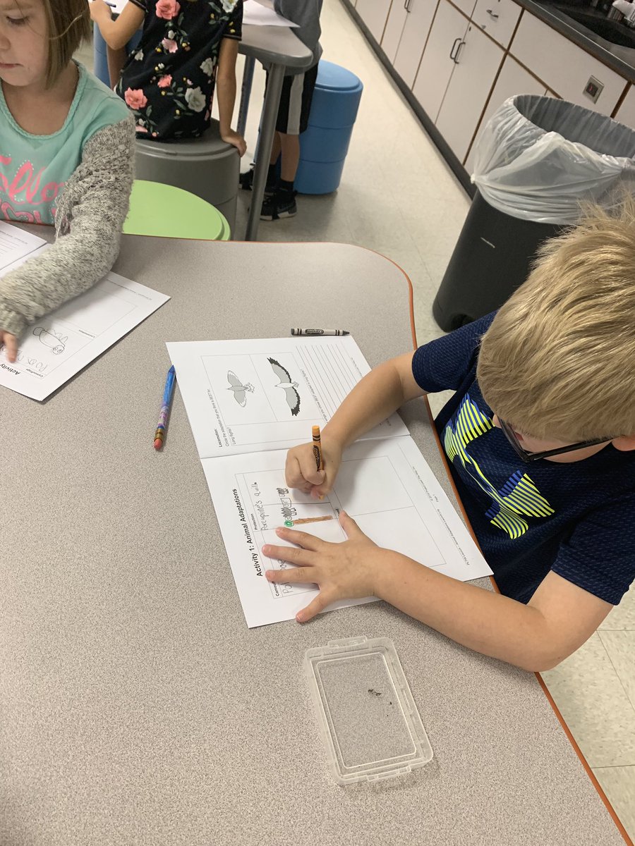 MrsRaggsRockers's tweet photo. These awesome first graders did a great job learning about and choosing their favorite adaptations. #ScientistsAtWork #TaraO @gmossluvs2teach @TaraOaks_ES https://t.co/H0SzbQKetG