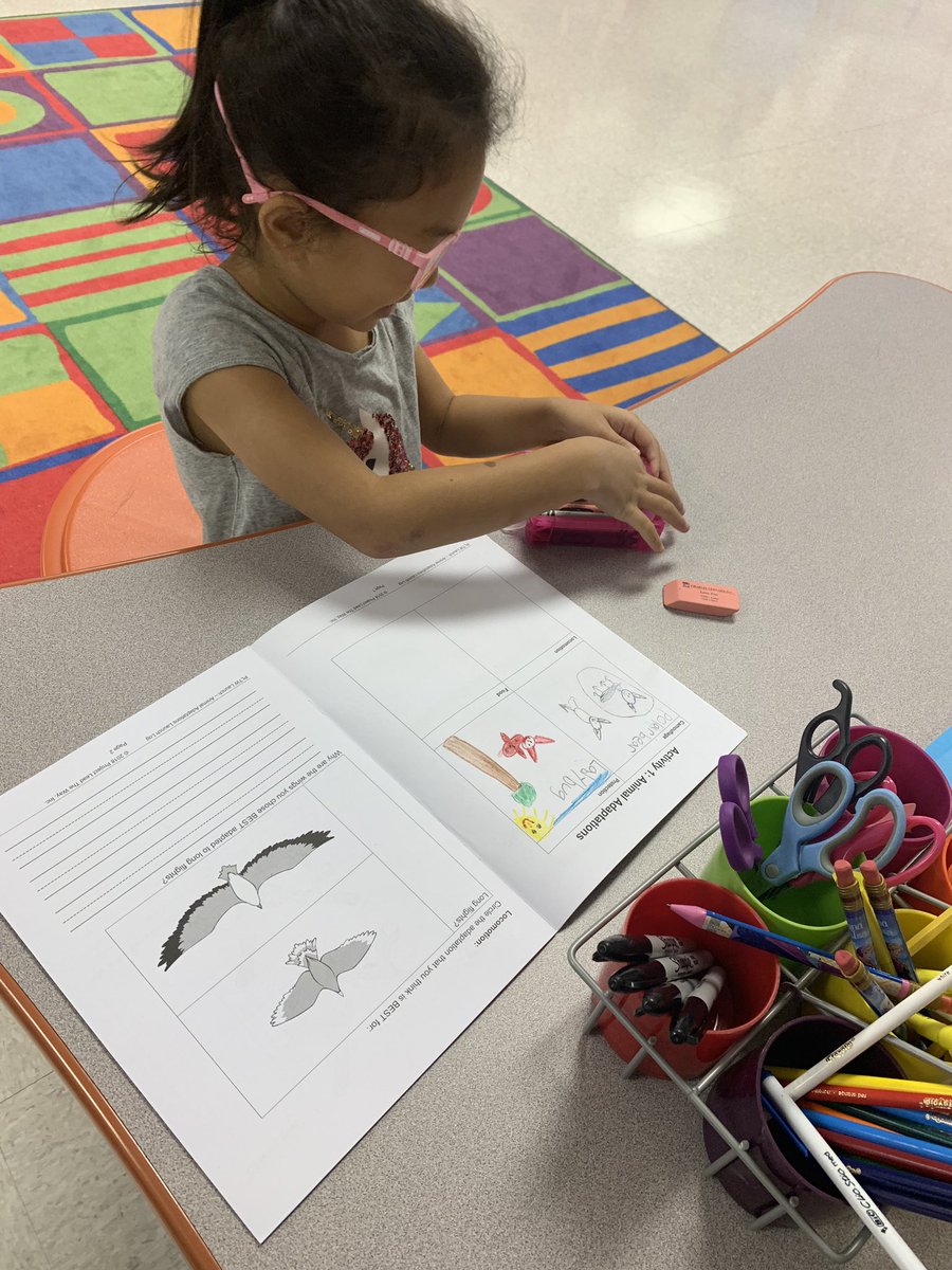 MrsRaggsRockers's tweet photo. These awesome first graders did a great job learning about and choosing their favorite adaptations. #ScientistsAtWork #TaraO @gmossluvs2teach @TaraOaks_ES https://t.co/H0SzbQKetG