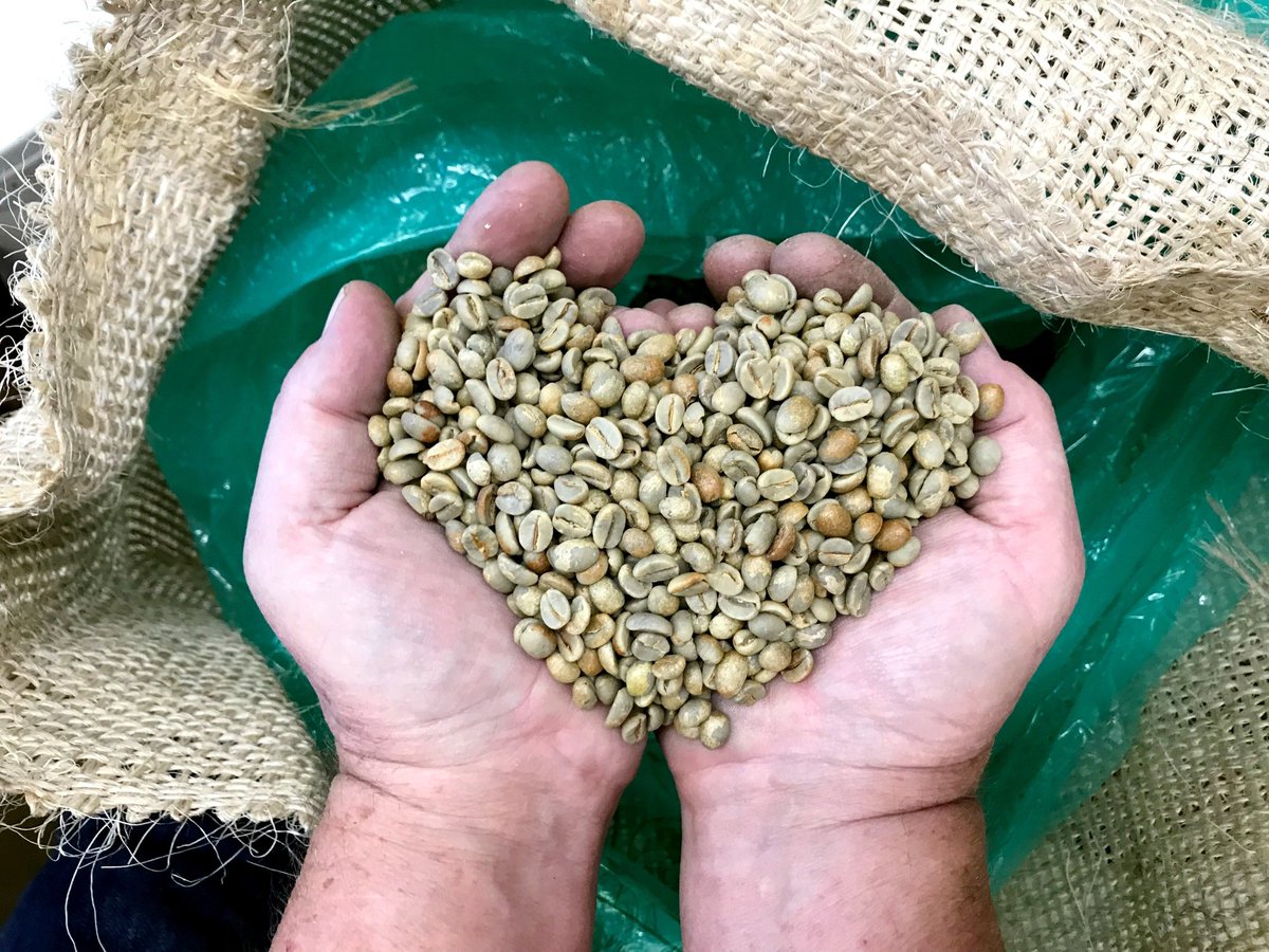 We know that you have fallen for the El Corazon de Mexico... we have too. But it's almost gone! 
Get some of this special coffee while you can: bit.ly/2LhiL27