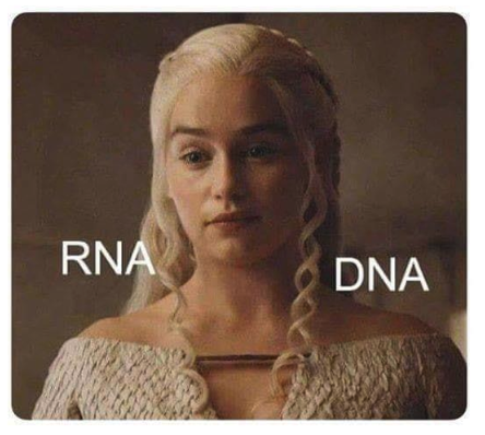 TGenResearch's tweet photo. What makes a TGen scientist laugh?
#tgenresearch #DNA #RNA #GameOfThrones https://t.co/DMe98NXuSW
