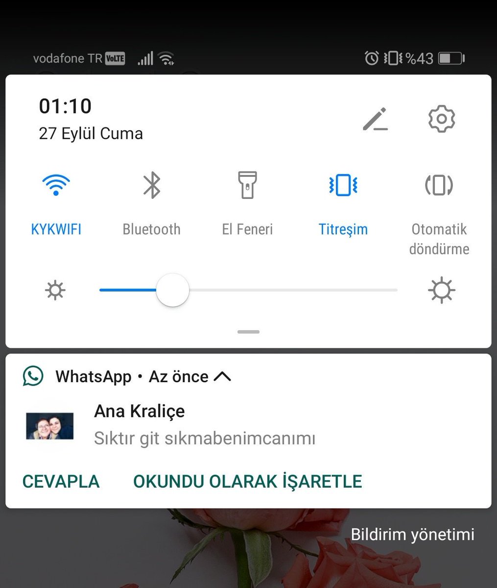 Ana gibi ana..