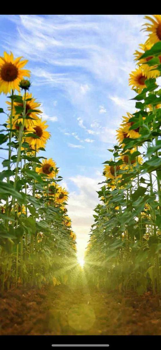 يخبرونك:
من سار على الدّرب وصل
لكن لا أحد يخبرك بالقصة الكاملة

القصة هي "من سار على الدرب تعثّر و سقط، تألم و نهض، خُذل و وقف، أتته لحظات يأس فحارب، ثم مشى بالعزيمة ،وركض حتى وصل "