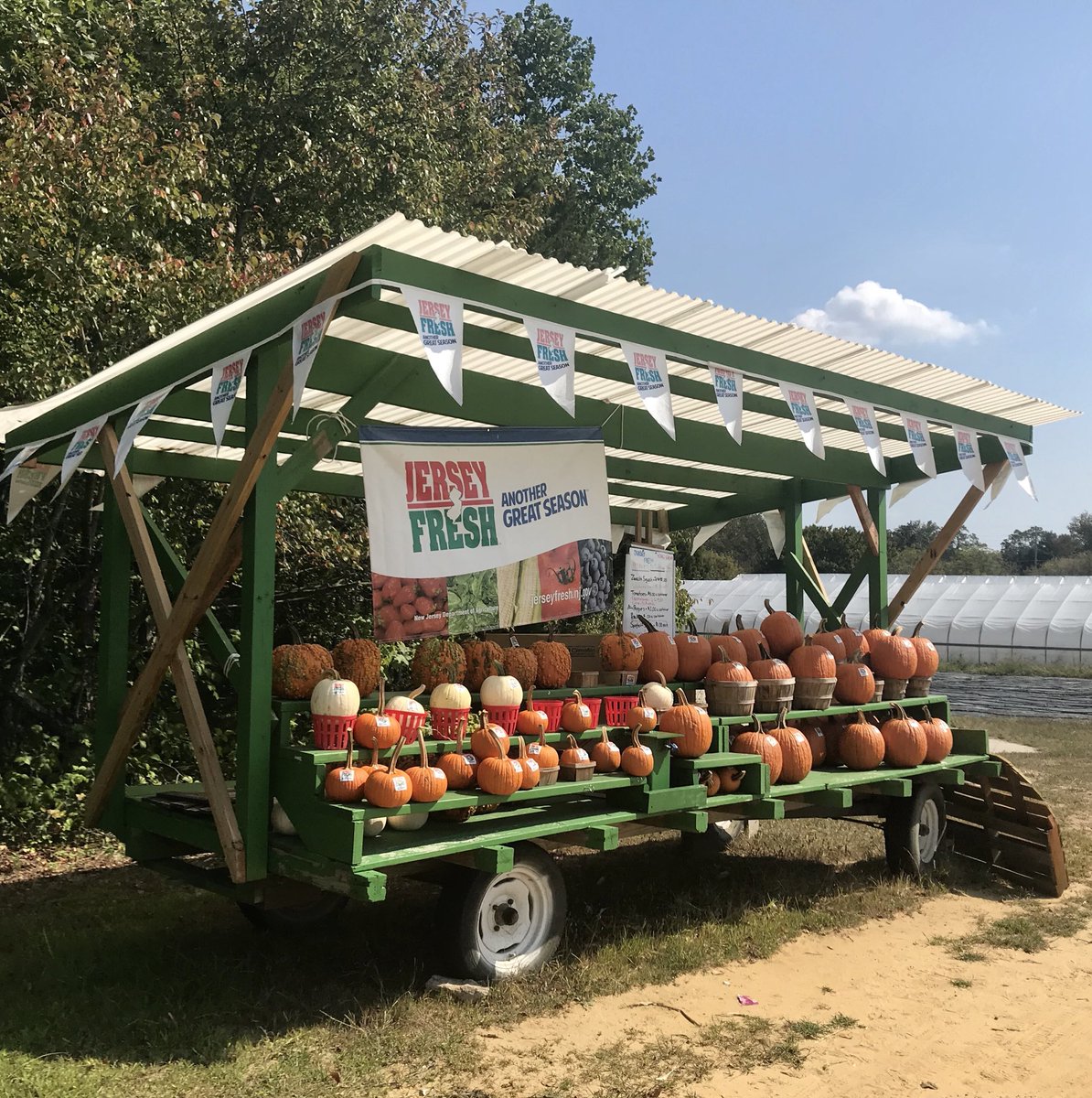 🍂🍂🍁🍂XOXO🍂🍁🍂☺️ ||PC:ToniMuskett #TONI🇺🇸 #newjersey #photographer #photography #love #travel #travelphotography