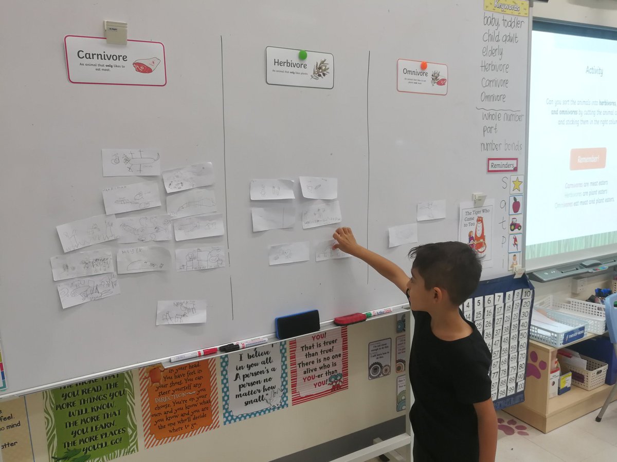 We started learning about carnivores, herbivores, and omnivores. Children did an animal hunt around the classroom and they had to draw what they eat and classify them into their category! #HIS_learning #ImAlive