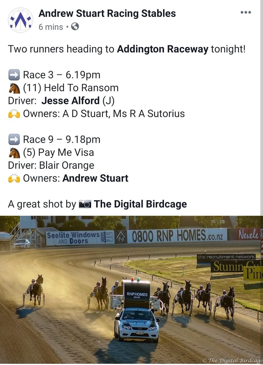 AStuartHarness's tweet photo. Two runners at @AddingtonNZ ! https://t.co/TG4cDOQjh1