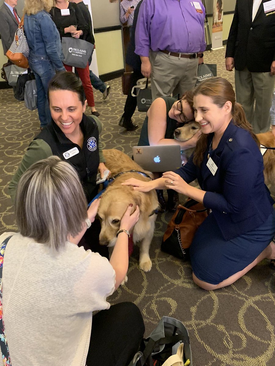 PPMdogs's tweet photo. Glad we were able to pop into the @ISBAlawyer Paws for a Break today. Our pups were more than happy to offer up some warm furry hugs after a day of meetings. #ssfc19 https://t.co/OFBsxCf6et