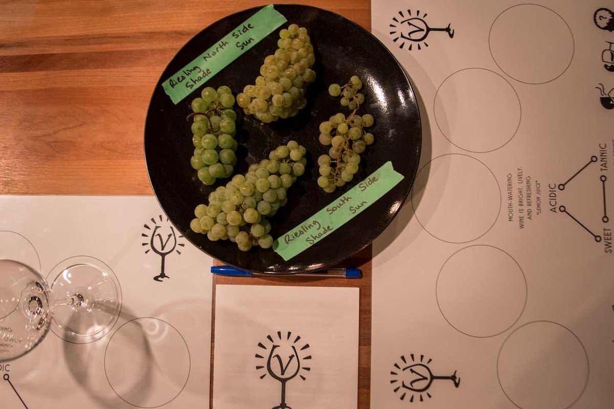 ZenSeekers's tweet photo. We swiped ya some wine school cheat notes.... shhhh, don't tell.
https://t.co/BIWnf9QLhx - @Miss604
Enroll in the Vinstitute when you go #OkanganExploring in #WineCountry for some #OkanaganExploring fun
@UncorkTheSun #UncorkTheSun #ExploreBC #UncorktheSun @HelloBC #BCWine https://t.co/okUmbM1bPs