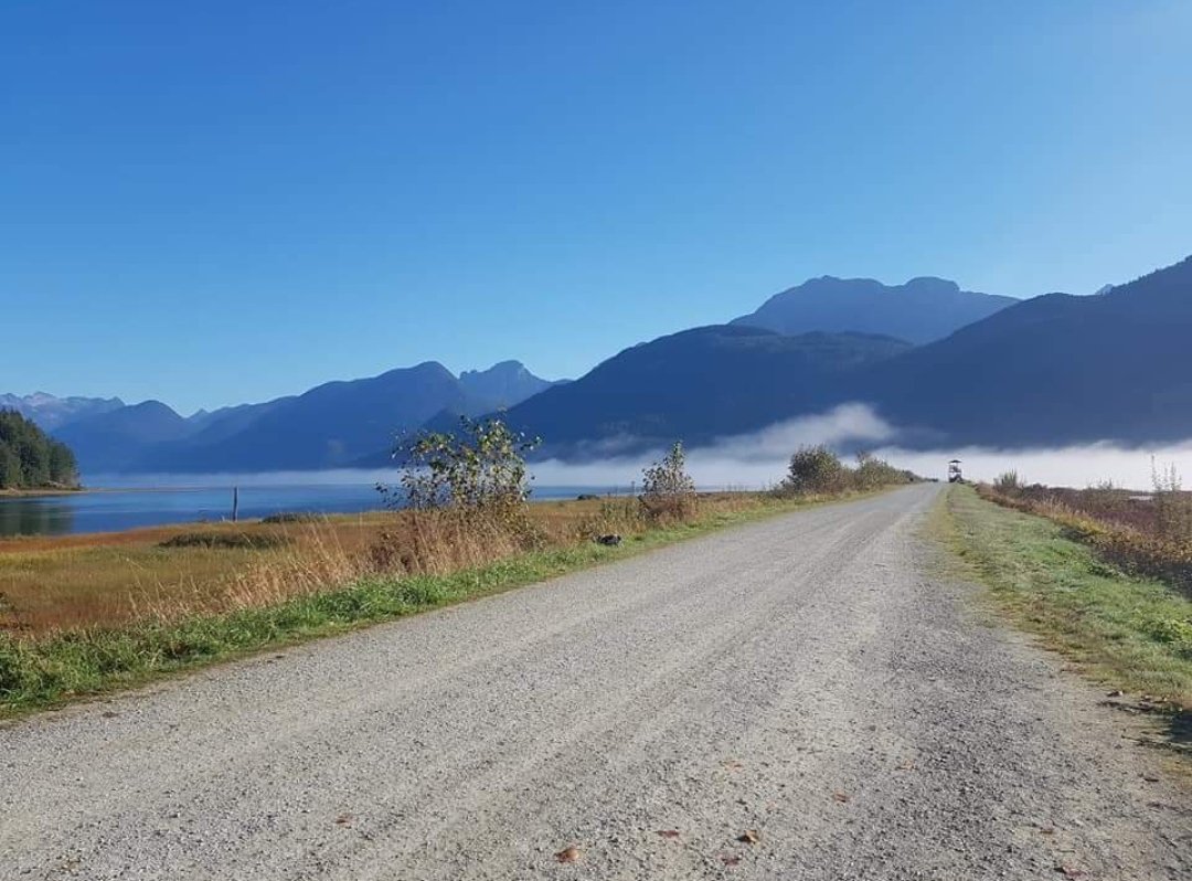 The leaves are changing, the air is crisp, flavours savory and fashion cozy. Autumn is officially here in Port Coquitlam!  Whether you are coming to the area for business or for leisure, the Poco Inn and Suites is your choice hotel this harvest season!

#autumn #portcoquitlam