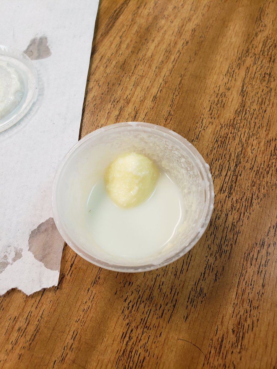 SHUFFLERTOES's tweet photo. 3rd graders pose the question: Does adding a marble to whipping cream effect the time it takes to turn into butter? #inquiry #testablequestion #sciencesmiles @maorebaugh @AlisonReddy1 @VBGifted @staceyannemoore @ThreeOaksElemVB https://t.co/DlnfYB3uwX