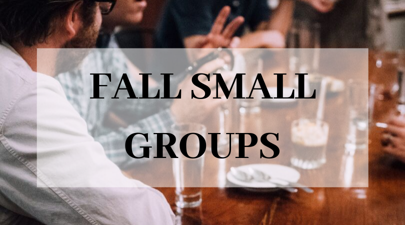 It's not too late to join a small group!! There are Bible studies, book studies, social groups, men's/women's groups and more! To explore or join a group go to christchurchvienna.churchcenter.com/groups/small-g…
