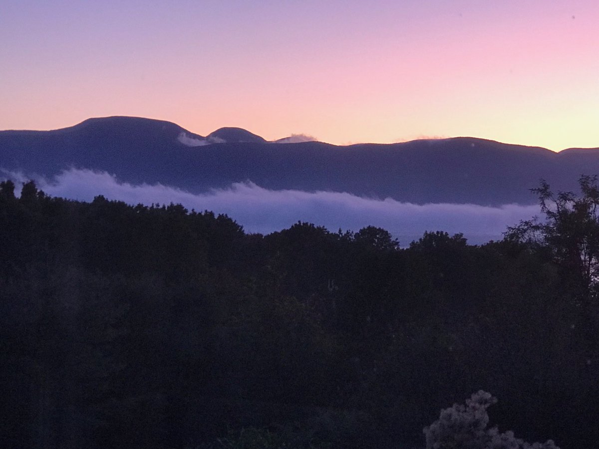 Current view from my studio. Wait- it just got better