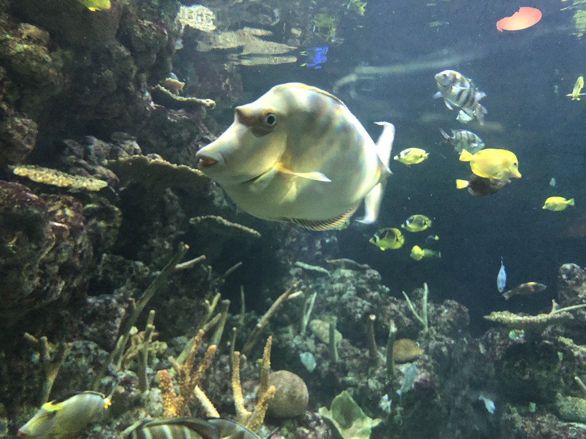 DefendCon's tweet image. Cool phishing attempt. #defendcon2019