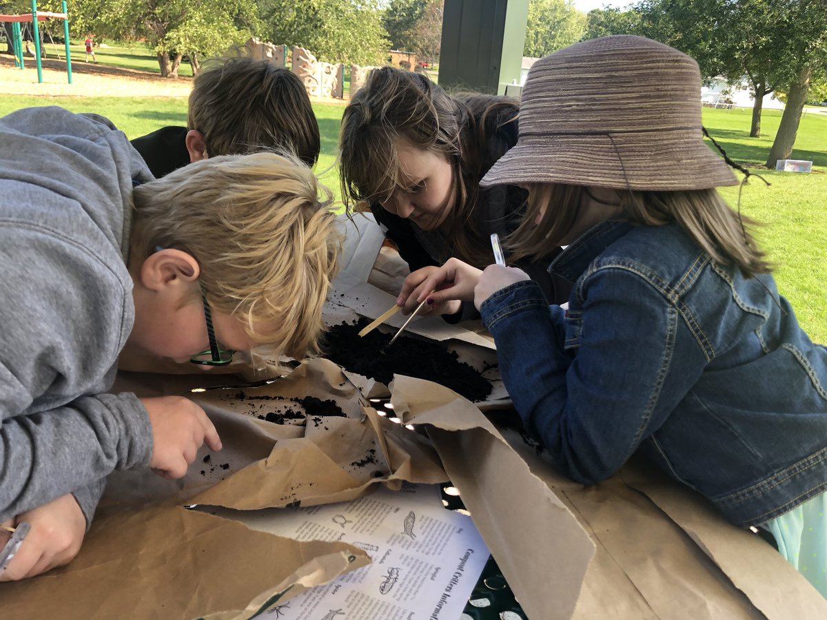 MissMegHartzell's tweet photo. FUN in the SUN ☀️ Students looked through the compost and identified the decomposers they found 🍄🐛 #compost #sciencerocks #ripon5th @MrsSimacek @JanetErnst https://t.co/WGXWAsfLDO