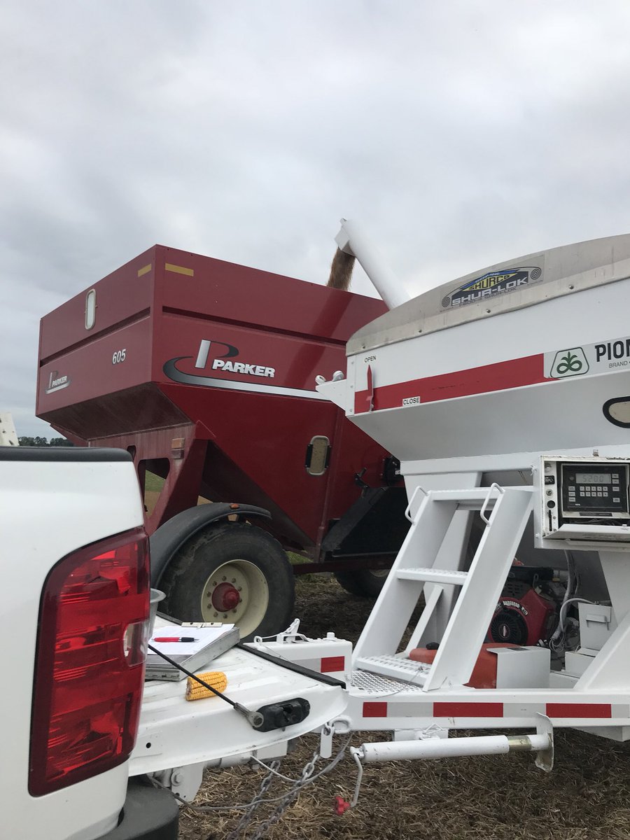 bbloom06's tweet photo. Early results have been looking pretty impressive in SE MN.... P09A62X coming in at 69 bu yield check Near Saint Charles, MN.. Impressive new lineup from #Pioneerseeds https://t.co/wsQTU4k6Us