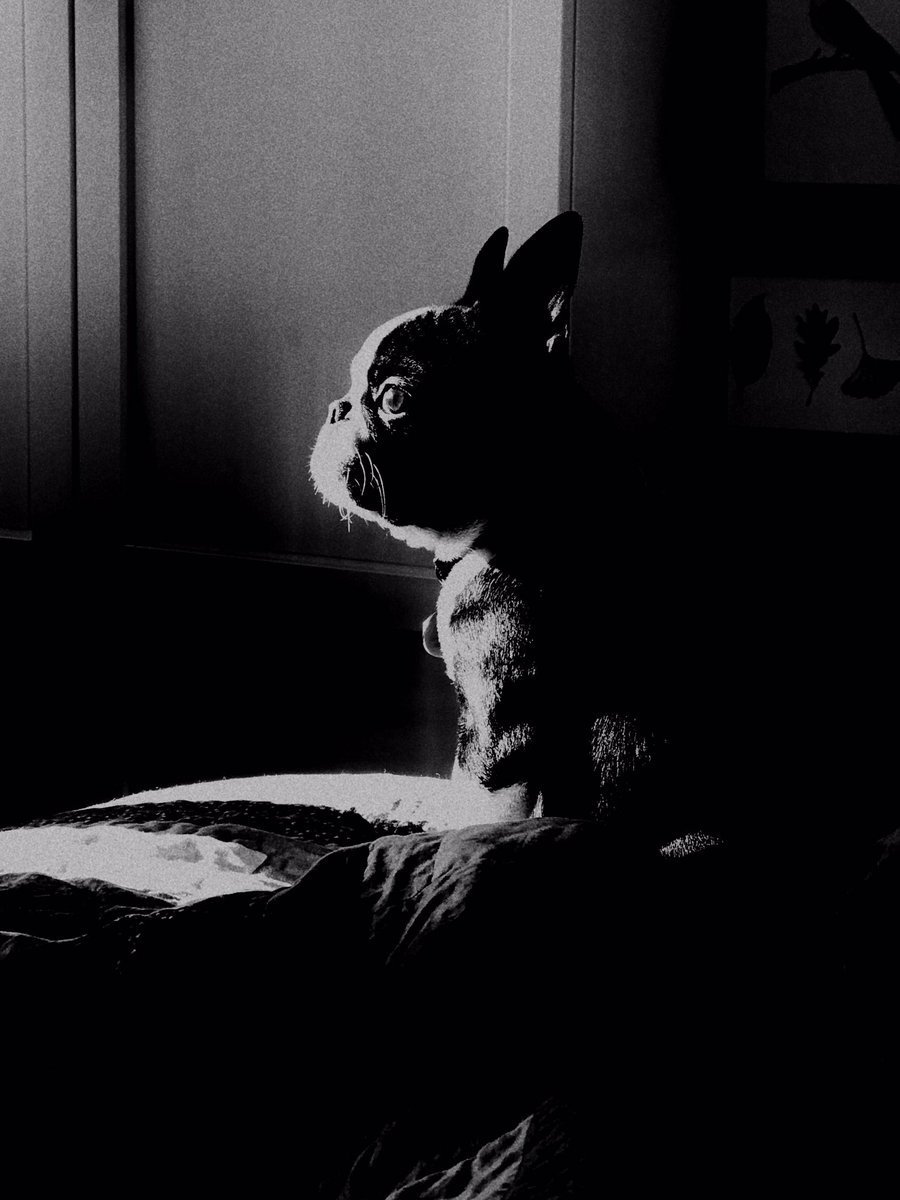 Look how majestic Betsy can be.