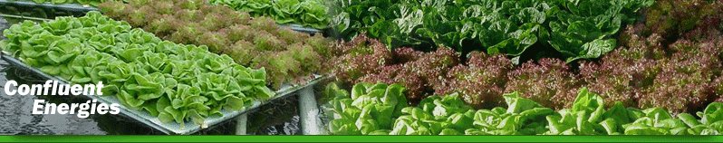 Congratulations to Confluent Energies, Inc. on your new hydro-power award. Thank you for choosing the great state of New York to "grow" your business. At NYPA We are Customer Obsessed!
#EconomicDevelopment #Customers <a href="/NYPAenergy/">NY Power Authority</a>