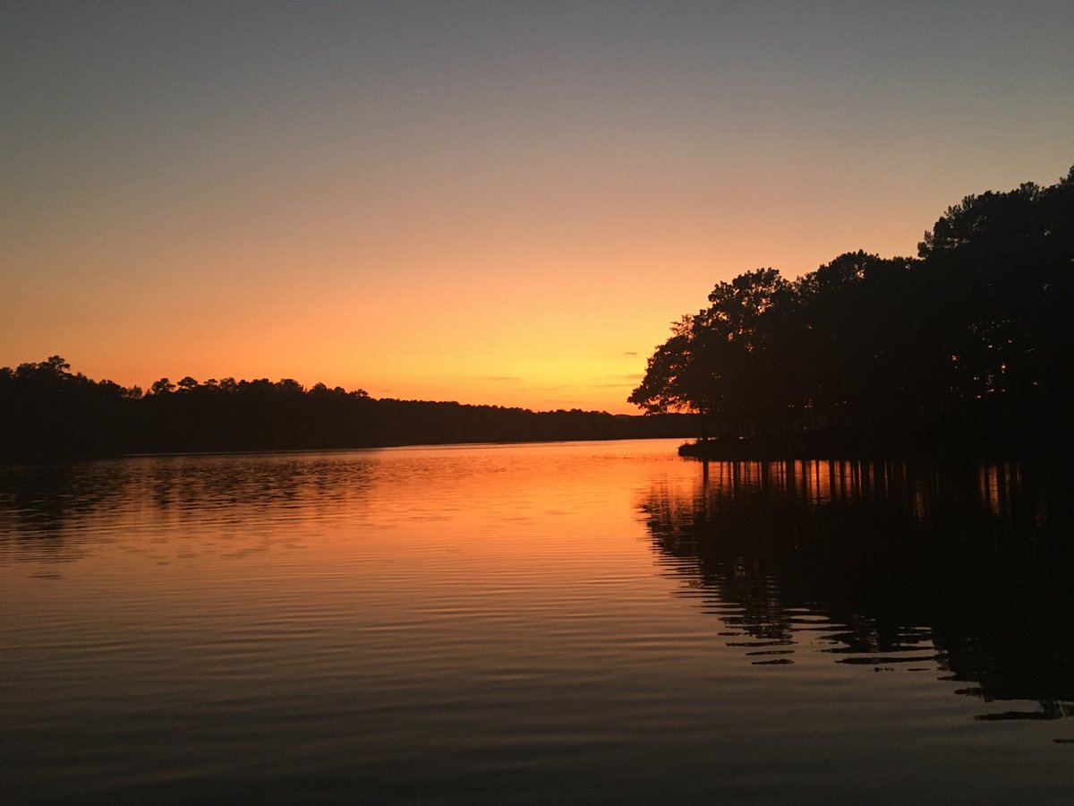 mlminor's tweet photo. Beeswax Creek, Lay Lake Alabama ⁦@spann⁩ https://t.co/NclxUpgRud