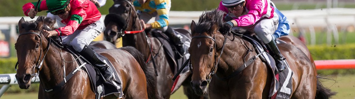 It’s already the weekend I say. The Valley, Scone &amp; Sunny Coast tips here - bit.ly/2Wb8hlS