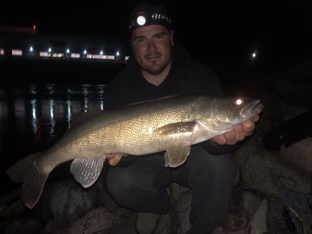 Nathan Paradis tweet media