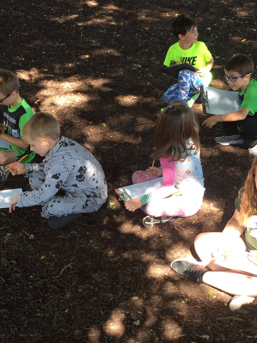 lynn_millward's tweet photo. Scientists using our senses to explore trees on the playground#sayrestrong #mrsmillwardsfirstgrade https://t.co/OiA72z6Yt5