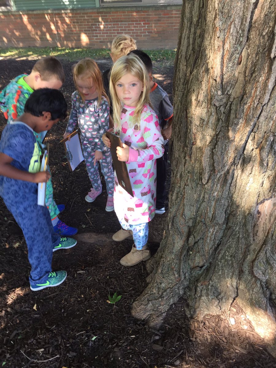 lynn_millward's tweet photo. Scientists using our senses to explore trees on the playground#sayrestrong #mrsmillwardsfirstgrade https://t.co/OiA72z6Yt5