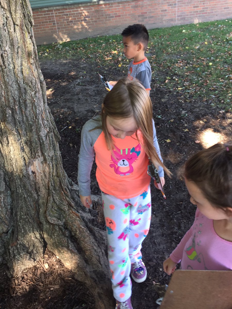 Scientists using our senses to explore trees on the playground#sayrestrong #mrsmillwardsfirstgrade