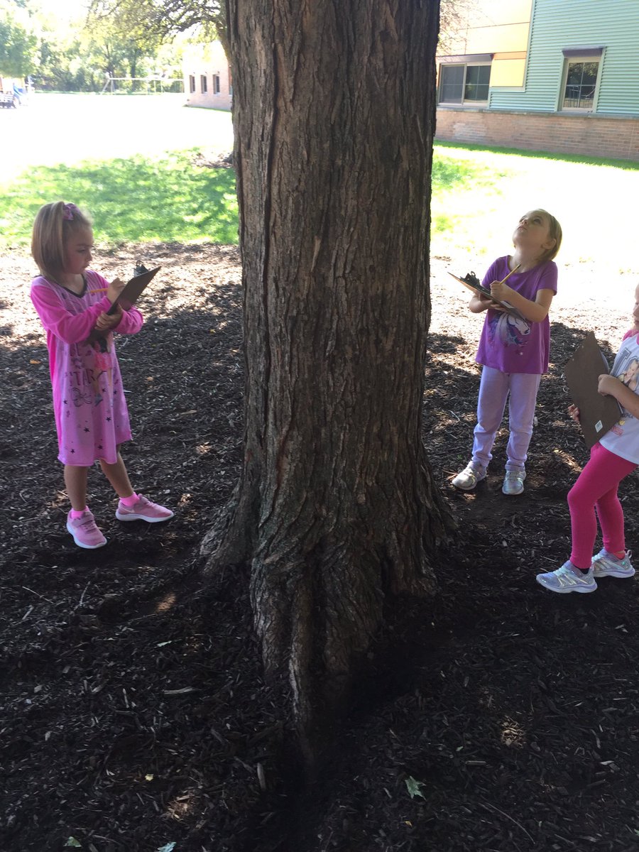 lynn_millward's tweet photo. Scientists using our senses to explore trees on the playground#sayrestrong #mrsmillwardsfirstgrade https://t.co/OiA72z6Yt5