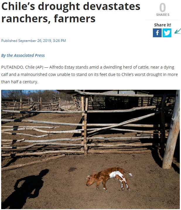 This is what the  #ClimateEmergency looks like in  #SouthAmerica right now.26/Sep/2019:Epic drought continues in  #Chile: "... more than 30,000 head of livestock have died of hunger or thirst, and crops have been lost for lack of rain ..." https://news.mb.com.ph/2019/09/26/chiles-drought-devastates-ranchers-farmers/