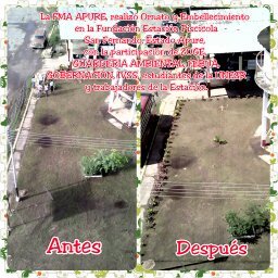 ORNATO Y EMBELLECIMIENTO EN LA FUNDACIÓN ESTACIÓN PISCICOLA