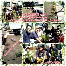 Misión Árbol Apure (@misionarbol2) on Twitter photo 