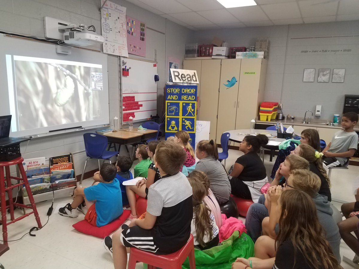 SShepReads's tweet photo. Successful first @SkypeScientist in the books! Thank you to our Monarch expert, Tori Pocius for spending time with us today. #futurescientists #4thgraderocks https://t.co/x3Yd9vP8aR