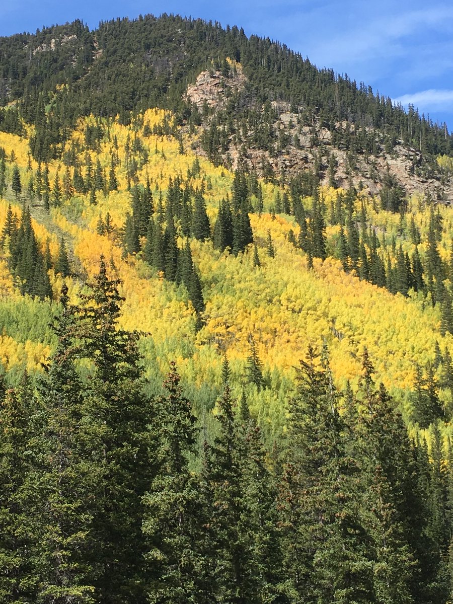 NancyMcCallin's tweet photo. It’s beautiful up here at Kenosha and Guanella passes🍁🍁🍁 https://t.co/uoHyoOGgoZ