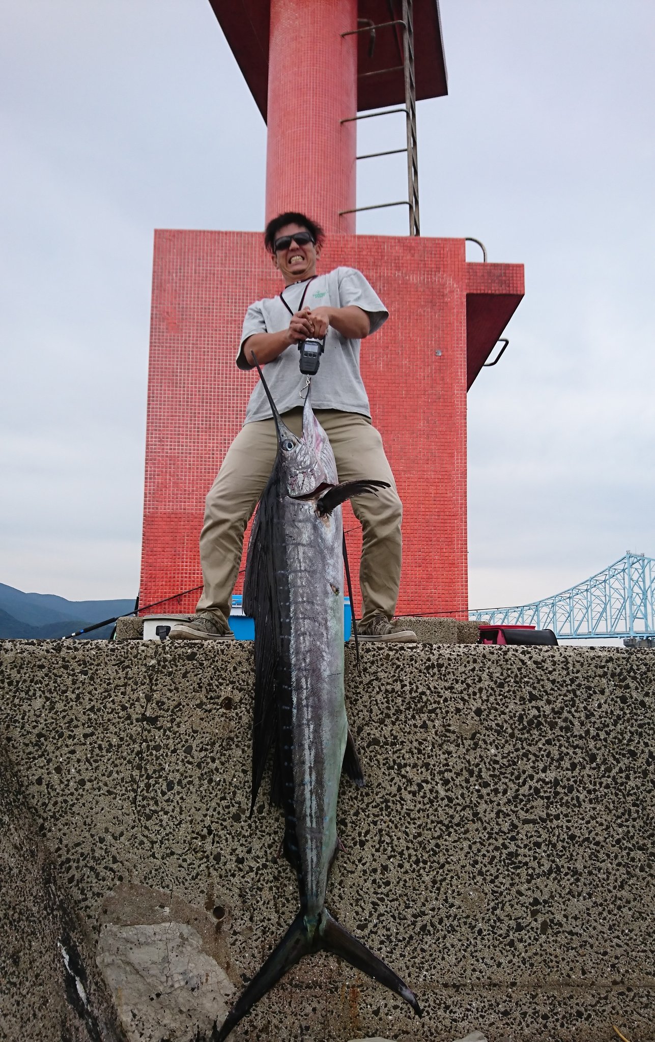 ケンニコ 昨日死んで流れてきたバショウカジキ 笑 それをみんなで引っ掛け引き揚げてみんなで撮影会しました 初めて カジキ触りました 平戸 生月はカジキも入ってくる海域 将来は堤防から釣って見たいものです カジキ 平戸 T Co