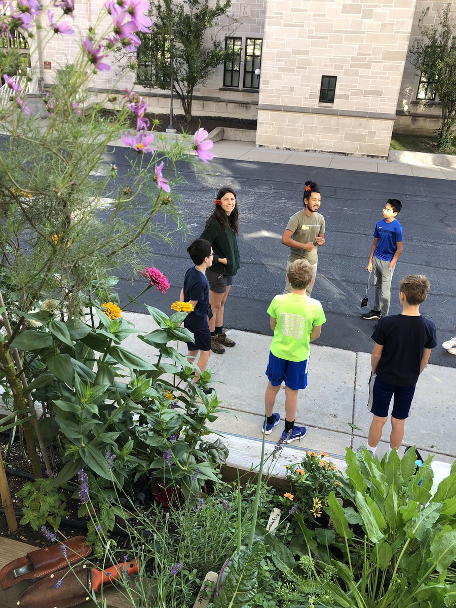 UCLSHomeEc's tweet photo. Happy garden harvest day! 😊 https://t.co/GfvfHBlauC