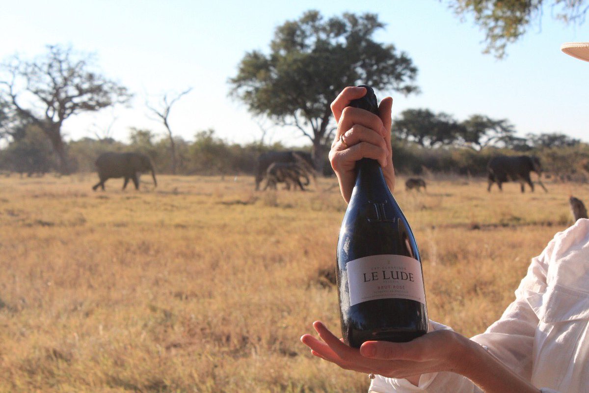 They say an elephant never forgets, and special moments like spotting a newborn with the herd while on safari in Botswana deserve to be made unforgettable with Le Lude MCC.
#LeLude #MCC