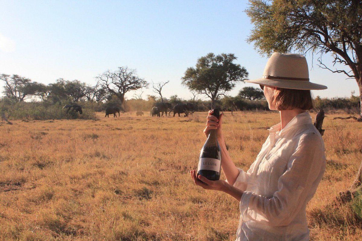 LeLudeMCC's tweet photo. They say an elephant never forgets, and special moments like spotting a newborn with the herd while on safari in Botswana deserve to be made unforgettable with Le Lude MCC.
#LeLude #MCC https://t.co/9DcTcTakAX