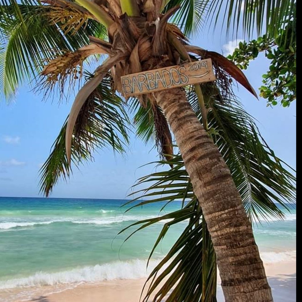 TheHolConcierge's tweet photo. Happy World Tourism Day!

Why choose #Barbados as your next holiday destination? 🇧🇧
With stunning beaches, natural beauty spots, sporting events, fine dining restaurants and rum galore - why not?!

We'll take the stress &amp; hassle out of planning your Barbados holiday,get in touch! https://t.co/WiuPyXzrCJ