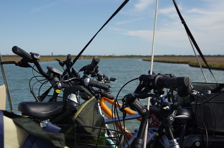 Nicoletta De Rossi tweet media