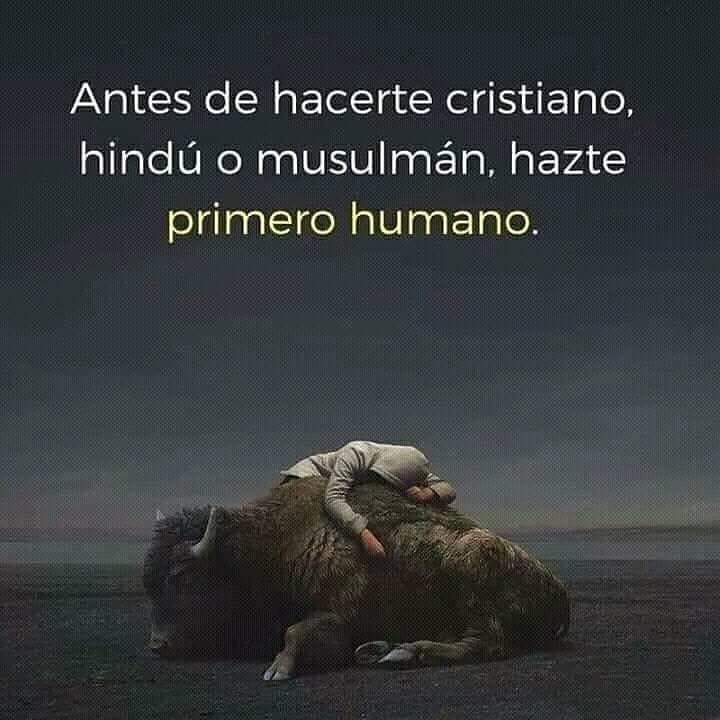 Xec Pons tweet media