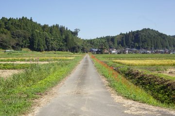 秋の風物詩 彼岸花が一面に広がる もう一つの那須 芦野 簑沢がすごい 栃木県那須の観光 移住情報メディアnasumo ナスモ