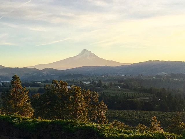 C2CCruisin's tweet photo. A hazy Mt. Hood making an appearance over this beautiful countryside.

📸 https://t.co/FPgAL9eFRm https://t.co/R6x10vHND9