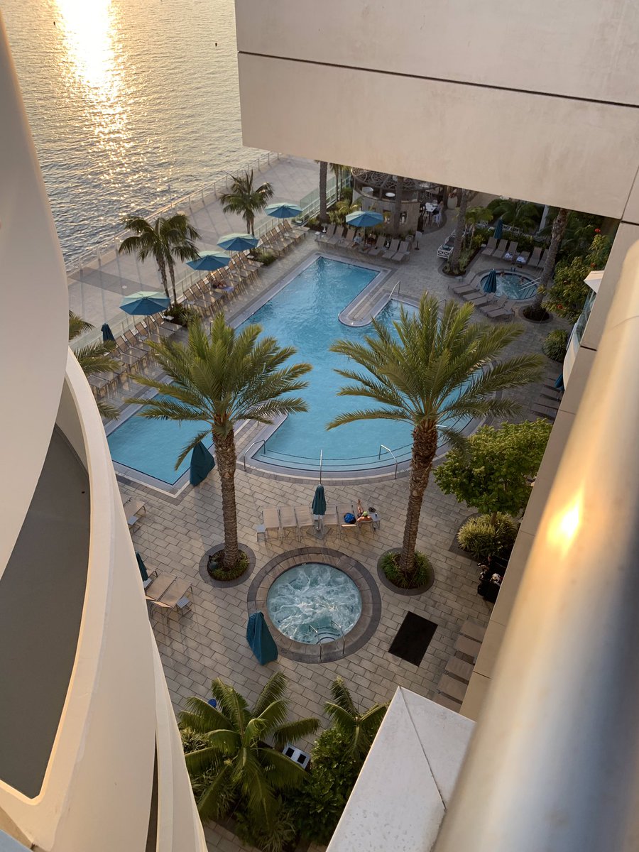 Shirley Sanz tweet media