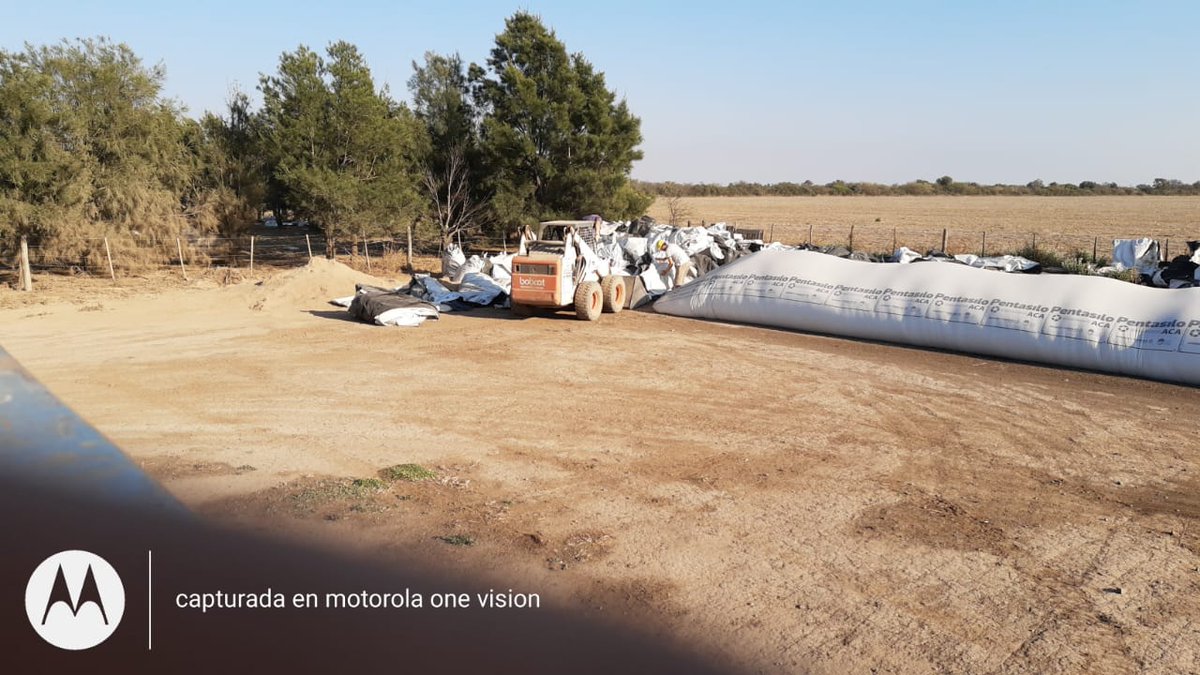DAECHINCUINI's tweet photo. Hoy enviamos de @coopaz1946 sucursal Cañada de Luque el cuarto camión de silos bolsas usados a la planta de reciclaje y recupero en Cañada de Gómez🍶🔄♻🆕🍾#x+compromisoACAsustentable! https://t.co/PIjt9wd4ey