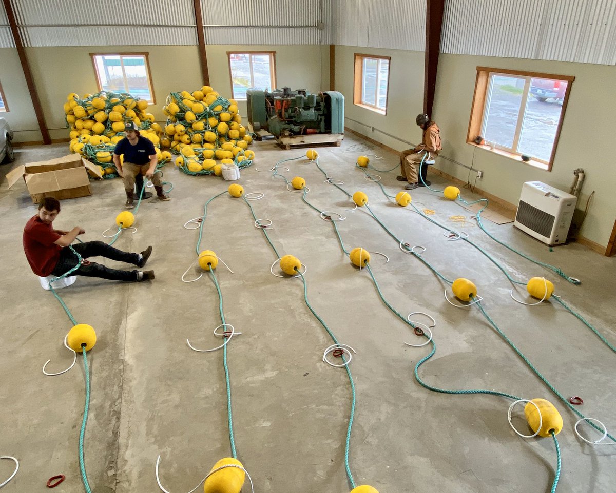 SeagroveAlaska's tweet photo. Along with growing baby kelps, #SeagroveKelp is also working hard at prepping our anchor, float, and line systems for deployment! #WeHuge @kevinjsund https://t.co/Q8YBVjZ1mN