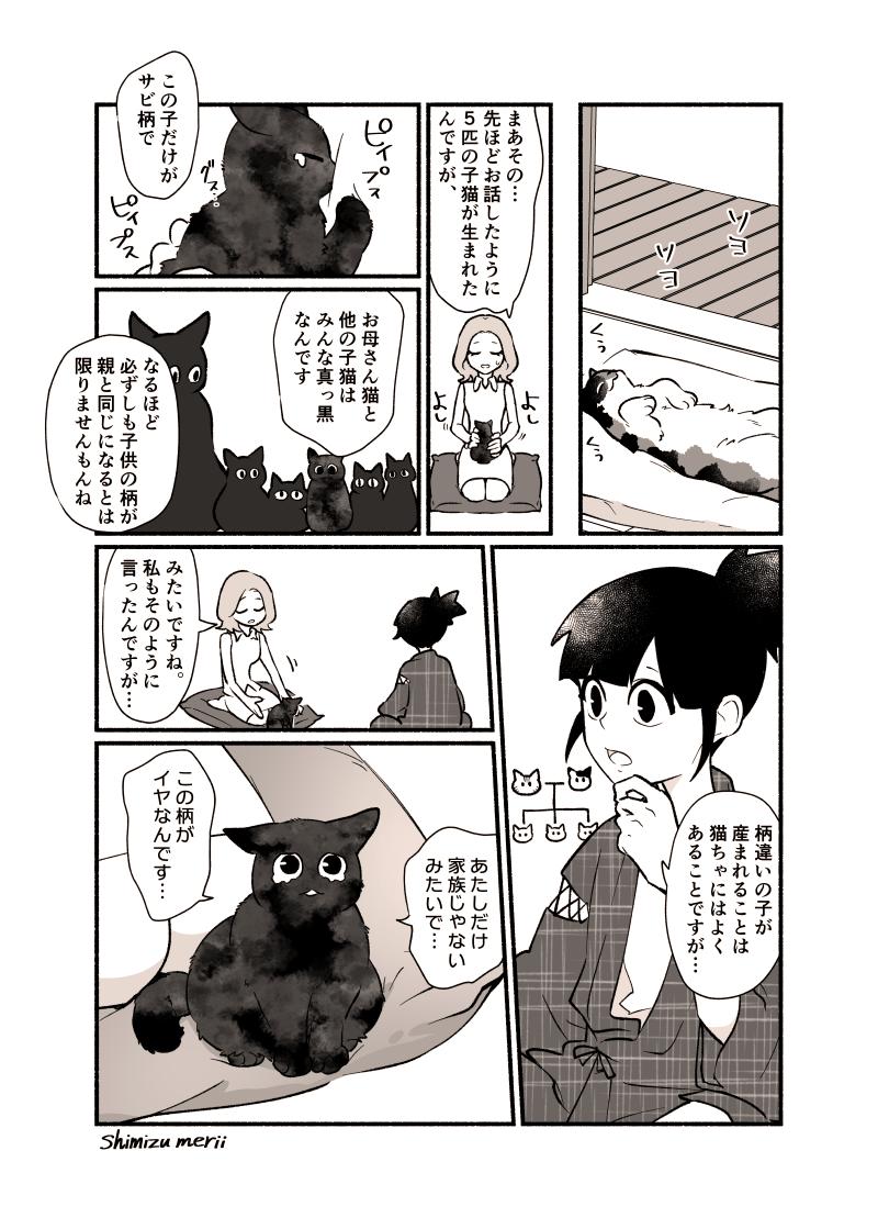 【創作漫画】猫塗り屋 ７話目

『猫塗り屋さんとサビ猫一家さん』
前半4P
(後半はリプに続きます/全8P)

秋晴れだね～気持ちよさそうだね～☺️

#猫塗り屋 