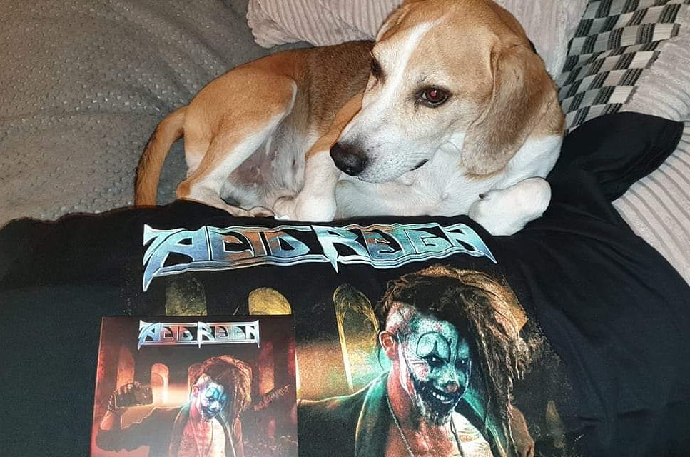AcidReignUK's tweet photo. He's got his have you got yours? 🤘#acidreign #newalbum #theageofentitlement #29years #27sept #today #plastichead #outnow #dissonanceproductions https://t.co/55XXgx6hDY