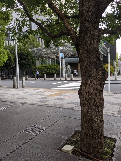 どこの駅前でもタバコのポイ捨ては見るものだけど 国会議事堂前だと