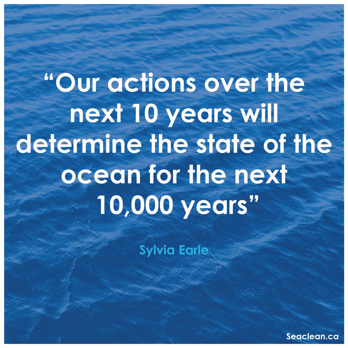 Like if you agree!

Follow @seaclean.ca for more 🔥

#oceanfacts #pollutionfacts #savetheearth #seaclean #sylviaearle #stopoceanpollution #stoppollution #climatechange